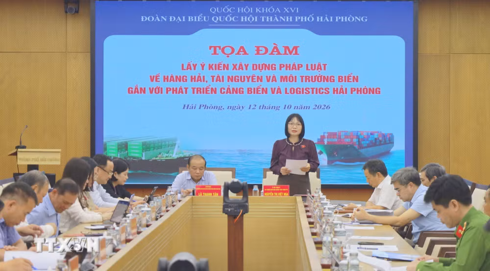ttxvn_1610-dai-bieu-quoc-hoi-nguyen-viet-nga-8602.jpg