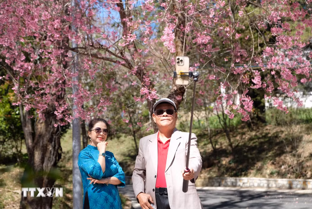 ttxvn-1302-dai-hoc-da-lat-5.jpg