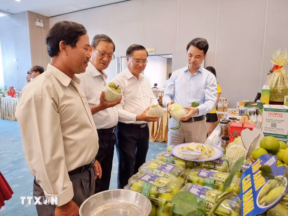 ttxvn-1508-ocop-khanh-hoa.jpg