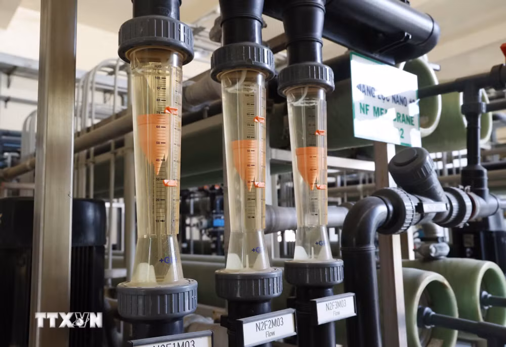 ttxvn-2108-xu-ly-rac-thanh-pho-ho-chi-minh-2.jpg