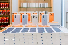 (Ảnh: PV/Vietnam+)