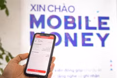 Ảnh minh hoạ. (Ảnh: Minh Sơn/Vietnam+)