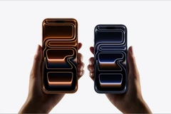 Ảnh minh hoạ. (Ảnh chụp màn hình)