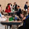 Các doanh nghiệp Việt Nam và New Zealand đã tham gia phiên kết nối trực tiếp B2B để tìm kiếm cơ hội hợp tác kinh doanh. (Ảnh: PV/Vietnam+)