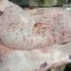 Ảnh người dân đăng tải tố cáo Công ty C.P Việt Nam bị tố bán "thịt bẩn". (Ảnh: Facebook)