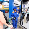 (Ảnh: TTXVN)