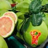 Australia công nhận khả năng đáp ứng tiêu chuẩn an toàn sinh học của Việt Nam mở ra cơ hội lớn cho ngành bưởi. (Ảnh: PV/Vietnam+)