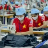 (Ảnh: Đức Duy/Vietnam+)