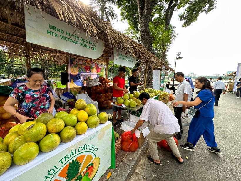 Người tiêu dùng mua sản phẩm VietGap tại Lễ hội trái cây. (Ảnh: Xuân Quảng/Vietnam+)