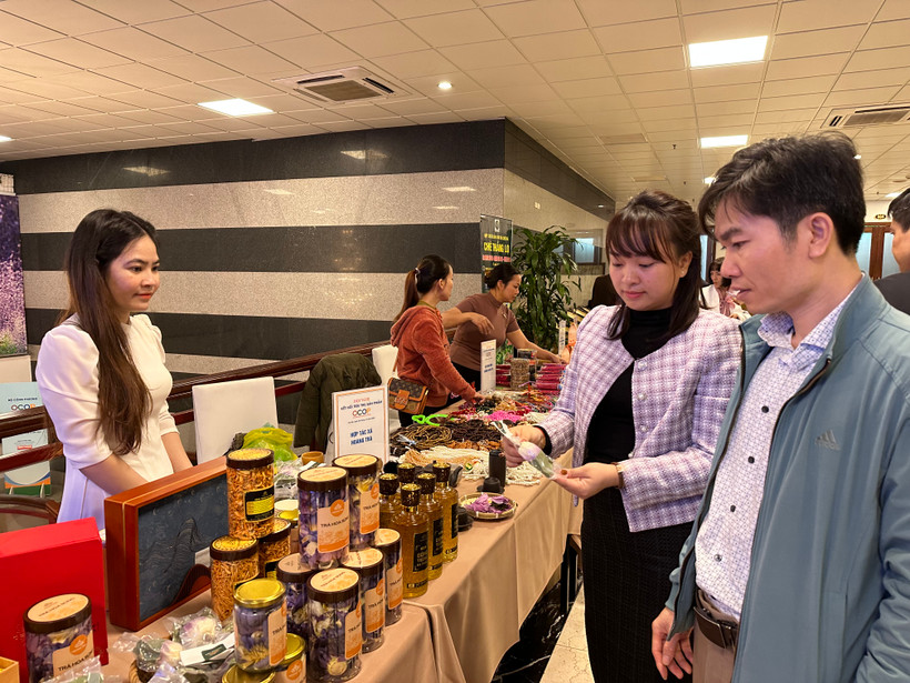Hiện nay đã có đã có hơn 10.800 sản phẩm OCOP được đánh giá đạt 3 sao trở lên. (Ảnh: Đức Duy/Vietnam+)