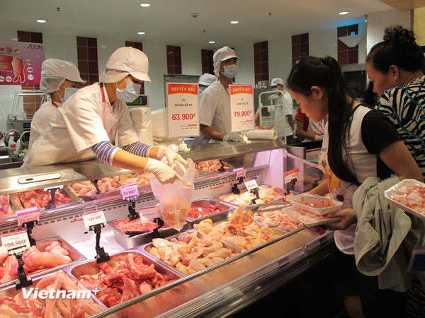 (Ảnh minh họa: Vietnam+)