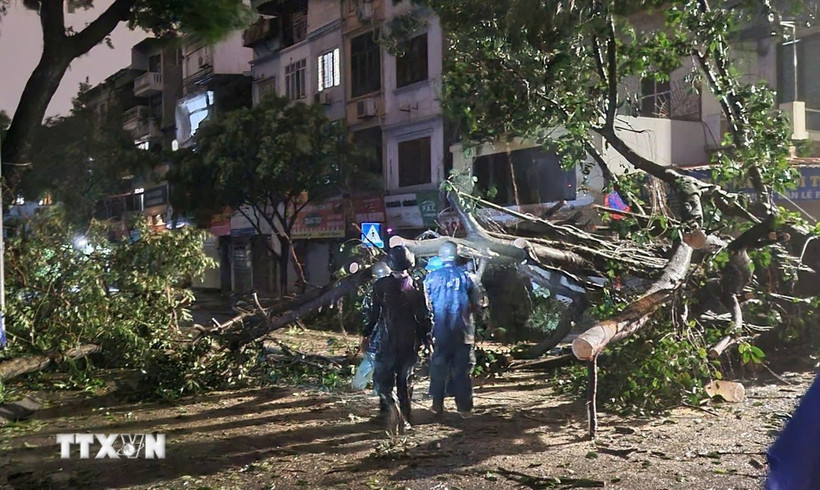 Các lực lượng chức năng của Hà Nội xuyên đêm khắc phục hậu quả bão số 3. (Ảnh: TTXVN)