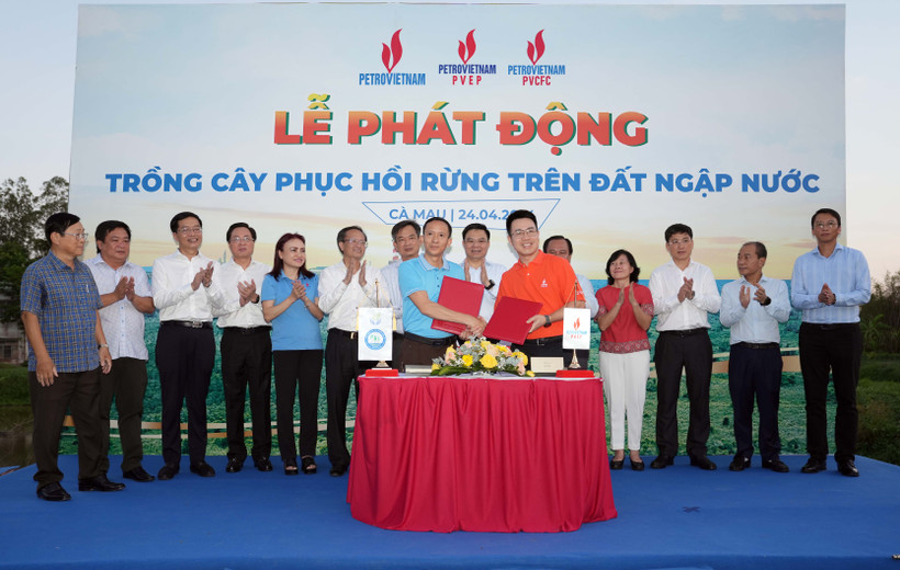 Các đơn vị dầu khí ký thỏa thuận với Viện Khoa học lâm nghiệp Nam bộ, Sở Nông nghiệp và Phát triển nông thôn tỉnh Cà Mau trồng mới 40 ha rừng và 250.000 cây xanh trên địa bàn tỉnh. (Ảnh: PV/Vietnam+)