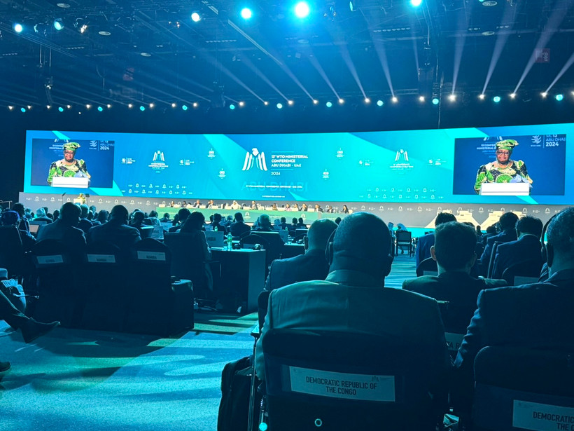 Phiên khai mạc Hội nghị lần thứ 13 của WTO tại UAE. (Ảnh: PV/Vietnam+)