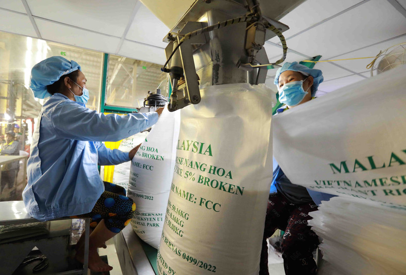 Doanh nghiệp tận dụng các cơ hội thị trường để thúc đẩy xuất khẩu. (Ảnh: Đức Duy/Vietnam+)