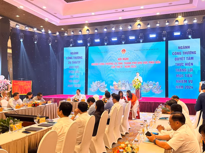 Thứ trưởng Bộ Công Thương Nguyễn Sinh Nhật Tân phát biểu tại Hội nghị ngành Công Thương 28 tỉnh, thành khu vực phía Bắc. (Ảnh: Đức Duy/Vietnam+)