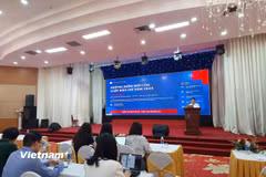Hội nghị được tổ chức theo hình thức trực tiếp kết hợp trực tuyến, kết nối tới các cơ quan báo chí các tỉnh, thành phố trong cả nước. (Ảnh: Minh Thu/Vietnam+)