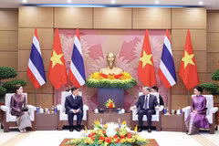 Ngày 15/9/2026, Tổng Bí thư, Chủ tịch nước Tô Lâm và Nhà vua Thái Lan Maha Vajiralongkorn Phra Vajiraklaochaoyuhua dẫn đầu đoàn đại biểu cấp cao hai nước tiến hành hội đàm. (Ảnh: Thống Nhất/TTXVN)