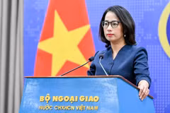 Người Phát ngôn Bộ Ngoại giao Việt Nam Phạm Thu Hằng. (Ảnh: BNG)