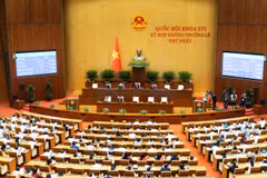 Đại biểu tham gia biểu quyết. (Ảnh: quochoi.vn)