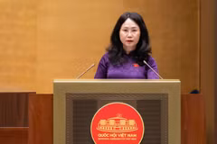 Bộ trưởng Bộ Văn hóa, Thể thao và Du lịch Lâm Thị Phương Thanh trình bày Báo cáo tiếp thu, giải trình và chỉnh lý dự thảo Luật sửa đổi, bổ sung một số điều của Luật Xuất bản. (Ảnh: quochoi.vn)