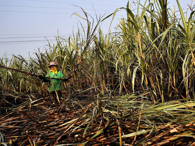 Ảnh minh họa. (Nguồn: AFP)