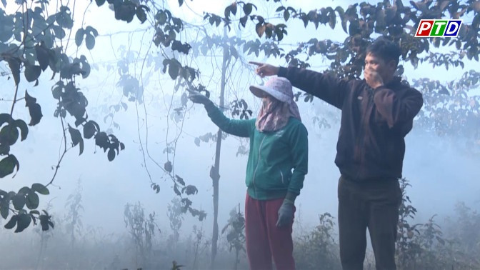 Đắk Nông: Xử phạt 130 triệu đồng doanh nghiệp sấy càphê ô nhiễm môi trường