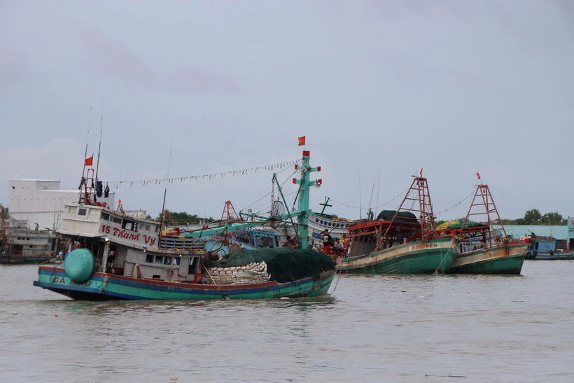 Tàu cá tại cửa biển Sông Đốc, huyện Trần Văn Thời (Cà Mau). (Ảnh: Kim Há/TTXVN)