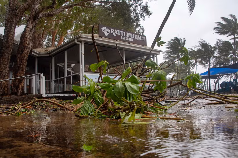 Cây cối gãy đổ do bão Jasper tại bang Queensland, Australia ngày 13/12/2023. (Ảnh: AFP/TTXVN)