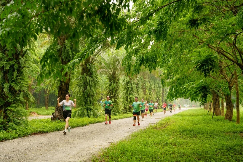 Chạy giữa miền xanh Ecopark.