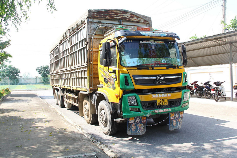 (Ảnh minh họa: TTXVN phát)