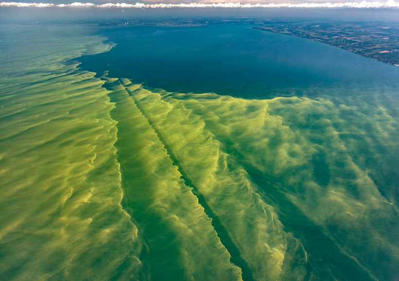Tình trạng biến đổi khí hậu làm gia tăng sự xâm lấn của tảo diệp lục. (Nguồn: greatlakes.org)