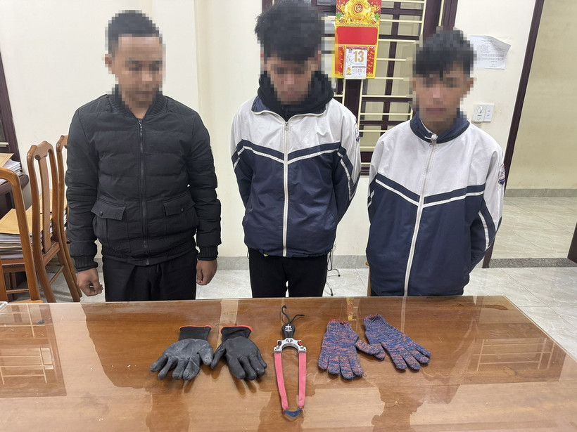 Nhóm đối tượng bị bắt giữ. (Ảnh: TTXVN phát)