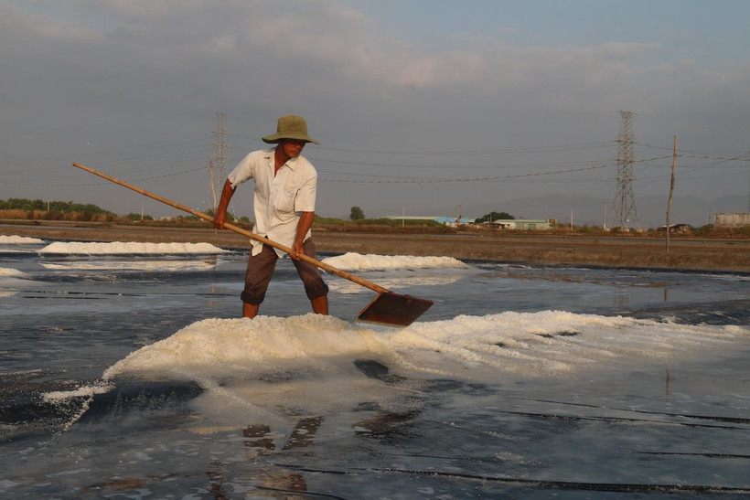 Diêm dân thu hoạch muối sản xuất theo phương pháp trải bạt. (Ảnh: Hoàng Nhị/TTXVN)
