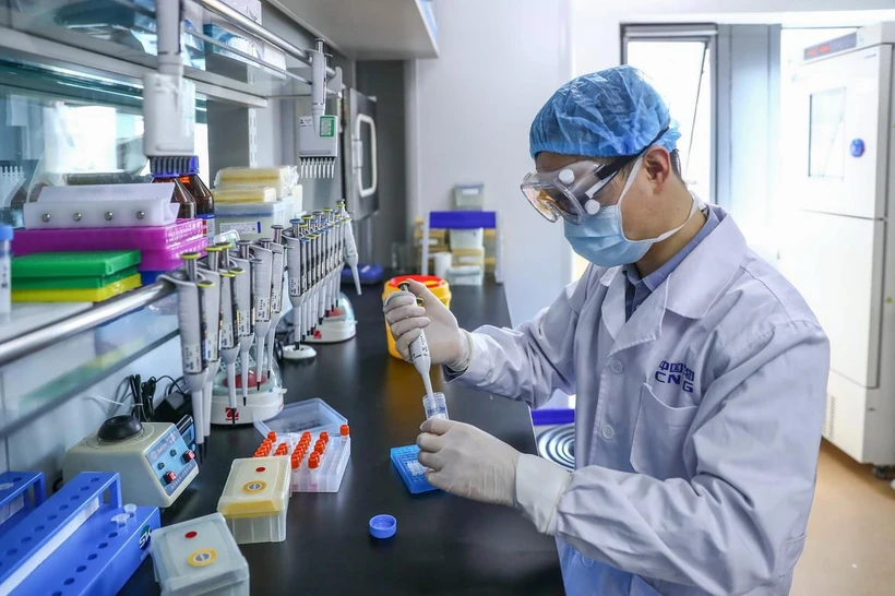 Phát triển vaccine phòng dịch viêm đường hô hấp cấp COVID-19. (Ảnh: THX/TTXVN)