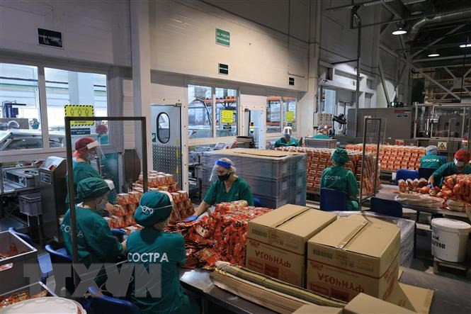 Sputnik: Doanh nghiệp Việt tại Nga vượt khó, xây dựng hình ảnh đẹp