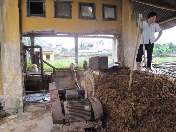 Công ty lâm sản Bắc Kạn ngang nhiên xả nước thải ảnh 4