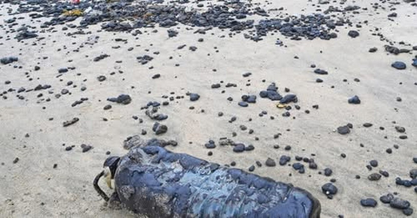 Hàng chục tấn dầu tràn vón cục trôi dạt vào bờ biển ở xã Lộc Vĩnh và thị trấn Lăng Cô, huyện Phú Lộc, thành phố Huế. (Nguồn: Facebook)