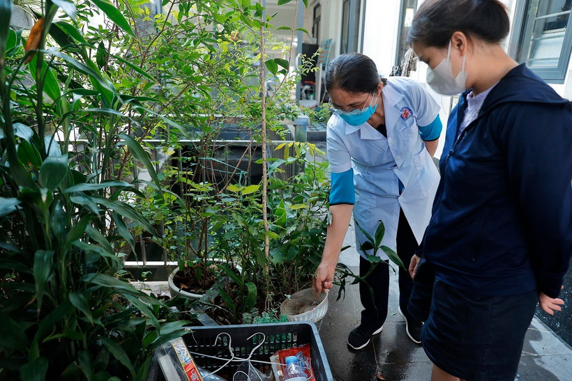 Nhân viên y tế tuyên truyền, kiểm tra việc diệt lăng quăng tại các vật dụng chứa nước thừa ở các hộ dân. (Ảnh: Minh Quyết/TTXVN)