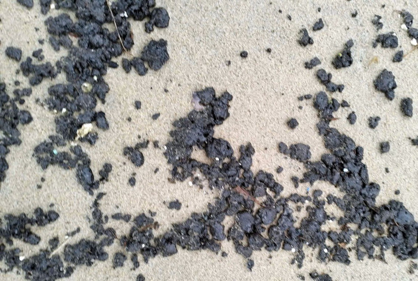 Dầu vón cục với kích cỡ nhỏ xuất hiện tại bờ biển xã Duy Hải. (Ảnh: Bang Nhiệm/TTXVN)