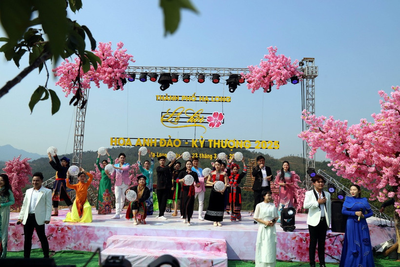 Quang cảnh lễ hội hoa anh đào Kỳ Thượng. (Ảnh: Đức Hiếu/TTXVN)