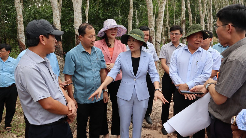 Bí thư Tỉnh ủy Bình Phước Tôn Ngọc Hạnh (giữa) cùng lãnh đạo các sở, ngành, thị xã Chơn Thành thị sát tại các điểm trên cao tốc Thành phố Hồ Chí Minh-Thủ Dầu Một-Chơn Thành đoạn quan địa bàn tỉnh Bình Phước. (Ảnh: Nhật Bình/TTXVN)