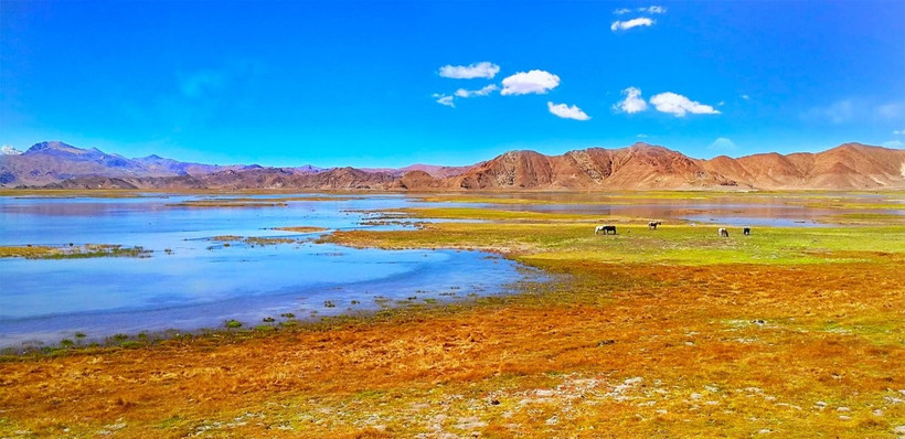 Cao nguyên Thanh Hải_Tây Tạng. (Nguồn: Đại học Lan Châu, Trung Quốc)