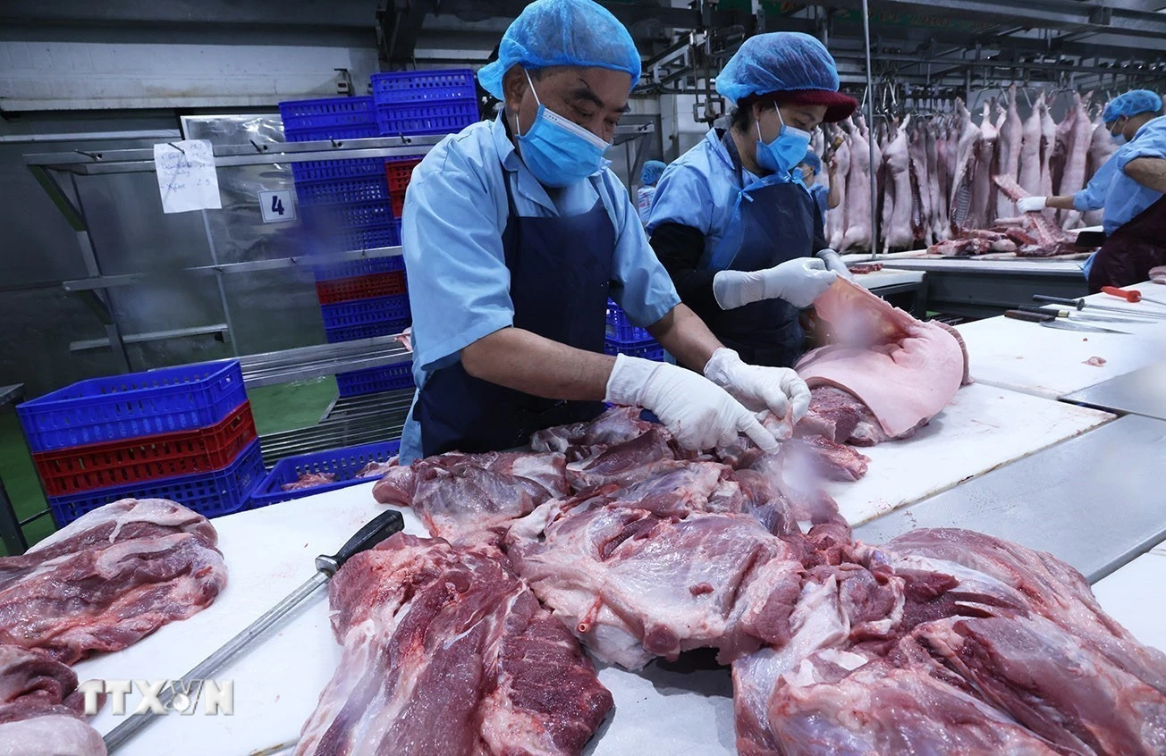 TP.HCM thí điểm sàn giao dịch thịt lợn: Giải pháp mới ổn định giá cả thị trường