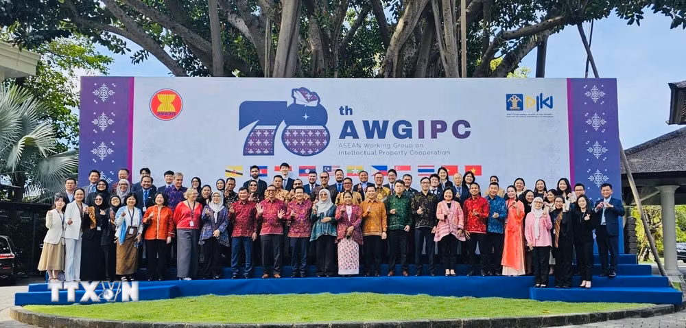 ttxvn-indonesia-hoi-nghi-nhom-cong-tac-asean-ve-hop-tac-so-huu-tri-tue-lan-thu-78-8691158-2.jpg