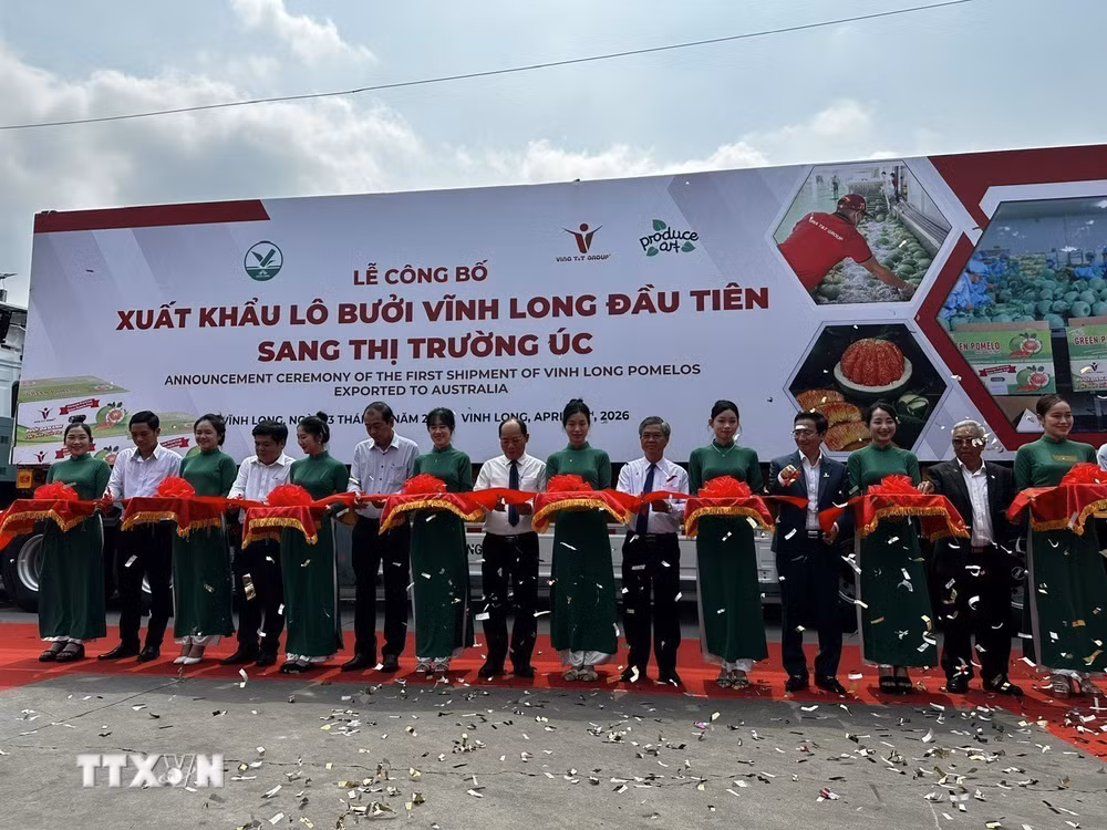 ttxvn-vinh-long-xuat-khau-lo-buoi-dau-tien-sang-thi-truong-australia-8697821-2.jpg