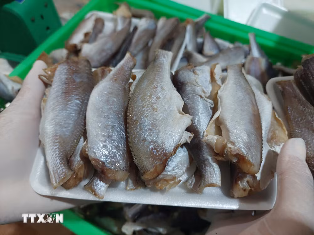 ttxvn-vinh-long-4.jpg