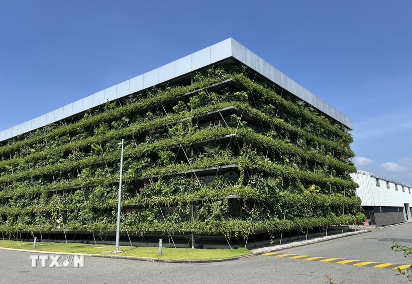 (Ảnh minh họa. Nguồn: Vietnam+)