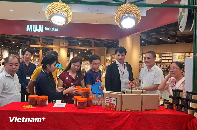 Các đại biểu đi tham quan các gian hàng tại Hội chợ xúc tiến thương mại nông nghiệp, sản phẩm OCOP năm 2025. (Ảnh: Hùng Võ/Vietnam+)