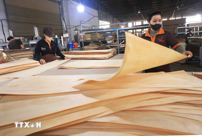 (Ảnh minh họa. Nguồn: Vietnam+)